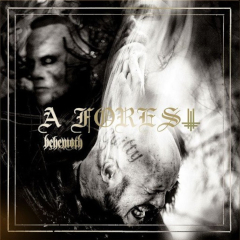 Behemoth - A forest